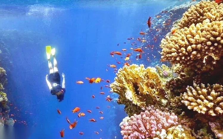 An aerial view from the cliffside overlooking Dahab's Blue Hole reef inlet, with pickup trucks and small shoreline buildings and a wooden jetty extending into the turquoise water.