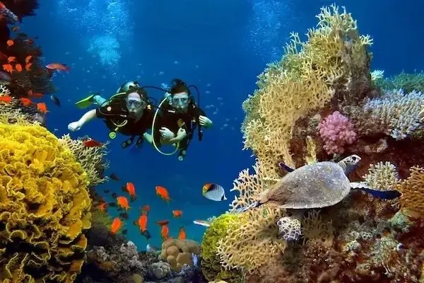 Three scuba divers kneel together on a sandy seafloor, each making an OK or peace hand sign toward the camera, with coral visible in the foreground.
