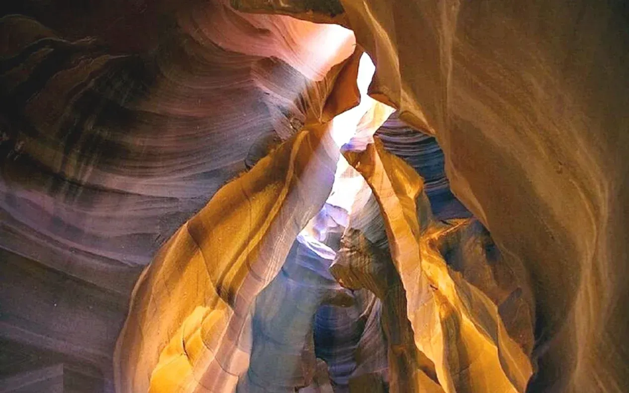 Narrow reddish sandstone canyon with layered rock walls and a lone green desert bush growing between boulders.