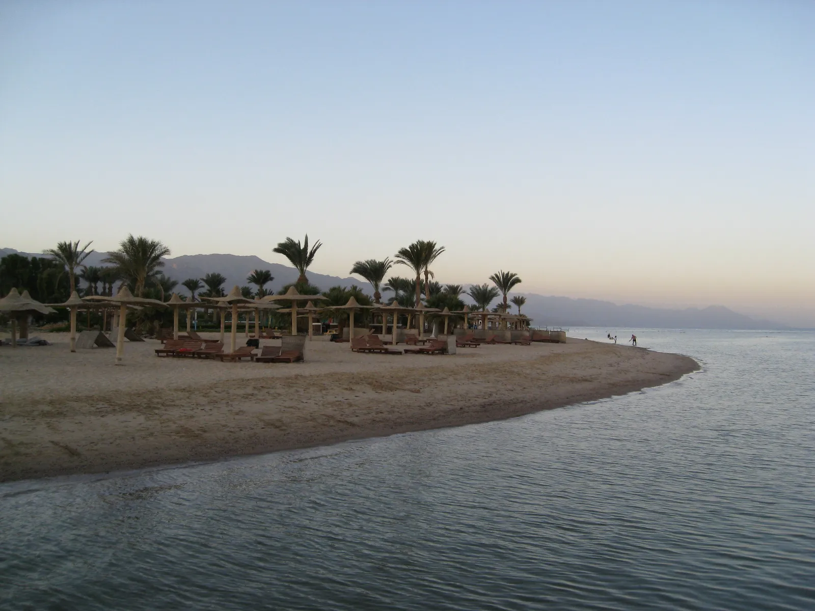 Quad bikers in red helmets ride single file along a sandy track beside the Red Sea coastline.
