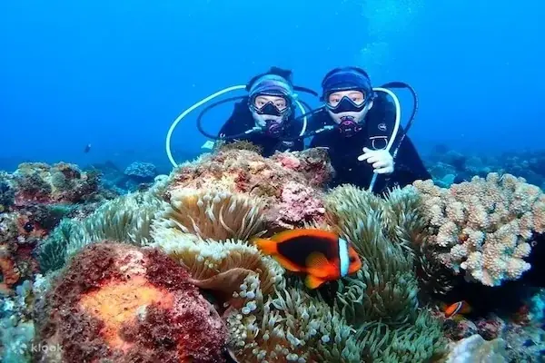 Instructor demonstrating a head-support rescue carry on a student in a swimming pool while two other students in scuba gear look on.