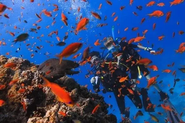 Diver towing an unconscious diver on the surface during an open-water rescue skills exercise.