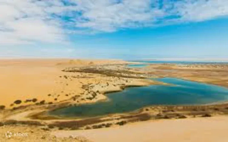 Aerial view of a desert lake with wind-carved sandstone formations and green scrub along the shoreline.