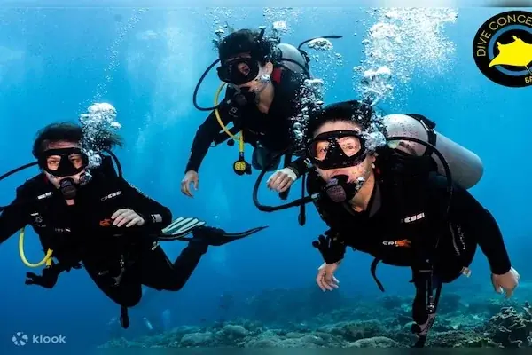 Three scuba divers underwater giving hand signals to the camera, with a dive shop logo watermark.