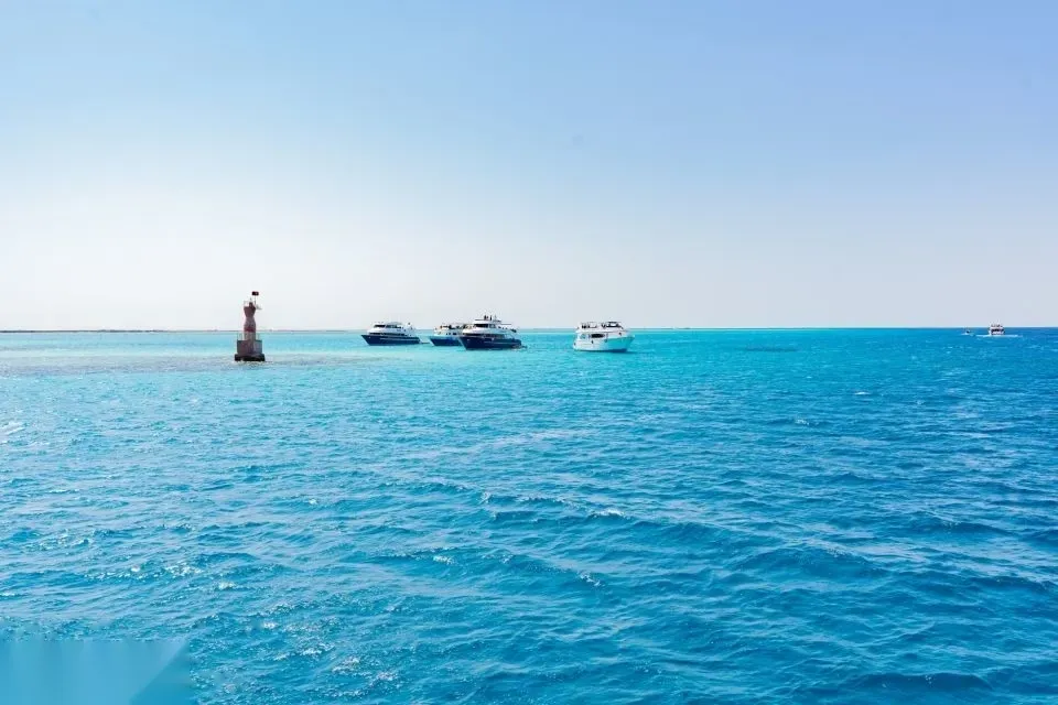 Split above-and-below water view showing tour boats moored above and a yellow fish swimming near a snorkeler below.