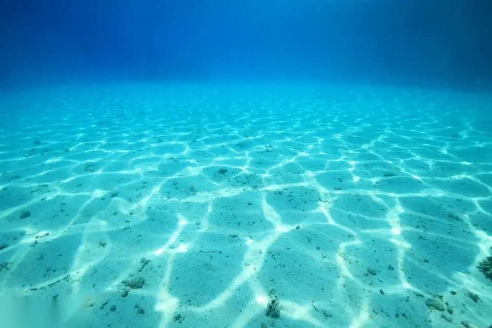 A guide leaps into turquoise water from a boat while guests in life jackets watch and prepare to snorkel.