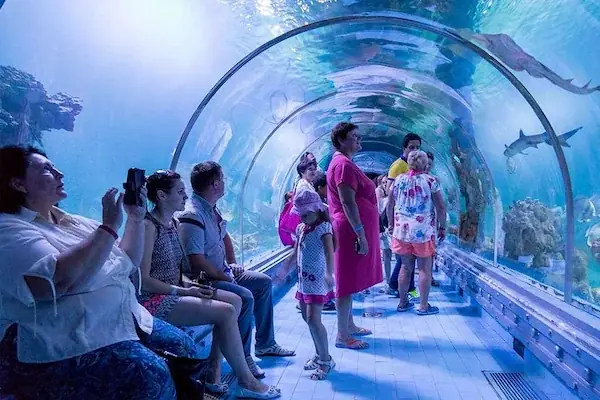 Visitors sit and stand inside a glass underwater viewing tunnel watching sharks and fish swim overhead.