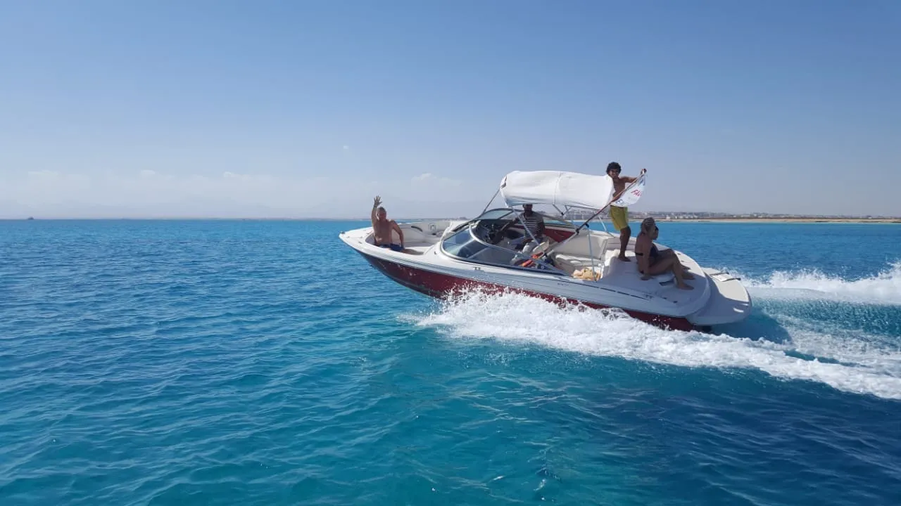 A guided speedboat with passengers pointing watches two dolphins leaping from deep blue water, with other boats in the distance.