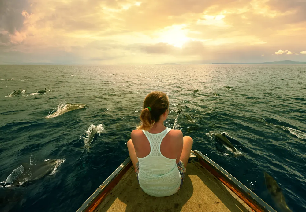 A small group enjoys a seated snack aboard a speedboat leaving a foaming wake, with two more boats visible in the distance.