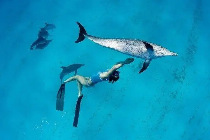 Snorkeling at Ozirea Island