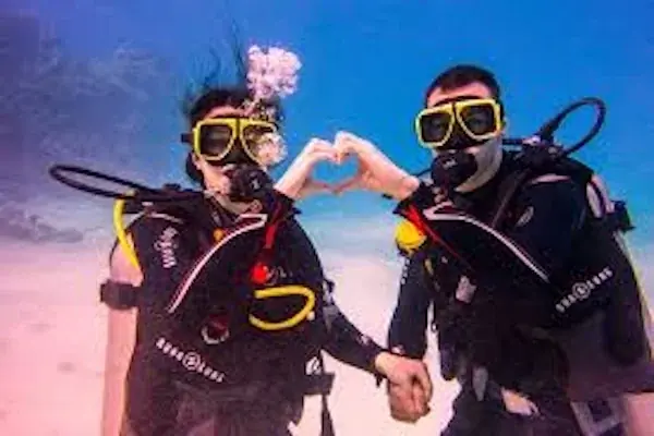 Scuba diver in a black and yellow wetsuit floating beside a dense school of yellow-striped snapper along a coral wall, a second diver visible behind.
