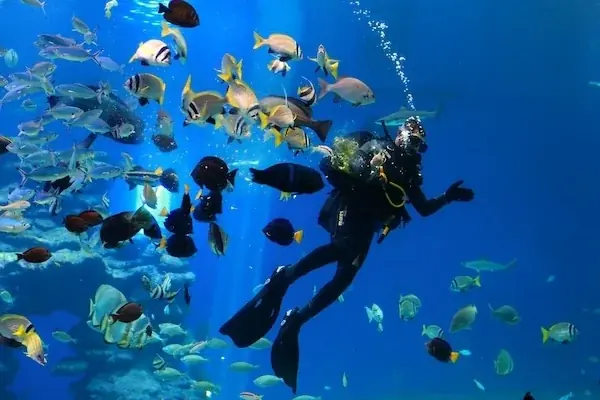 Close-up underwater portrait of a smiling diver on a rocky reef, holding a dive light and making a hand signal.