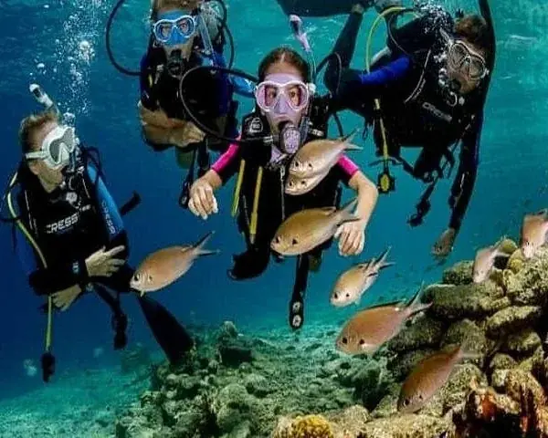 Family of four on a dive boat giving OK hand signals, two of them holding travel magazines, a desert island visible in the background.