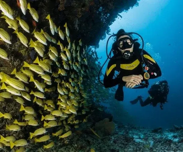 Two divers seen from behind walking into the sea, each carrying a tank labeled NITROX on their back.