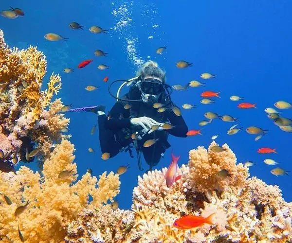 Scuba diver surfaces and waves with a blue-gloved hand while another diver floats nearby.
