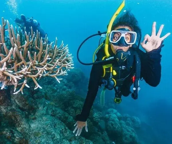 A diver wearing twin side-mounted cylinders reaches toward the reef below.