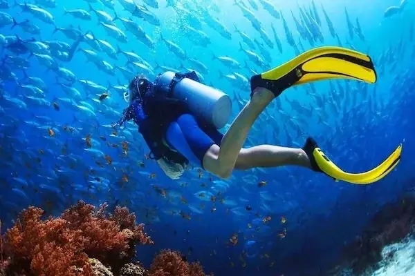 Scuba diver with yellow fins swimming above a coral reef surrounded by a large school of fish.