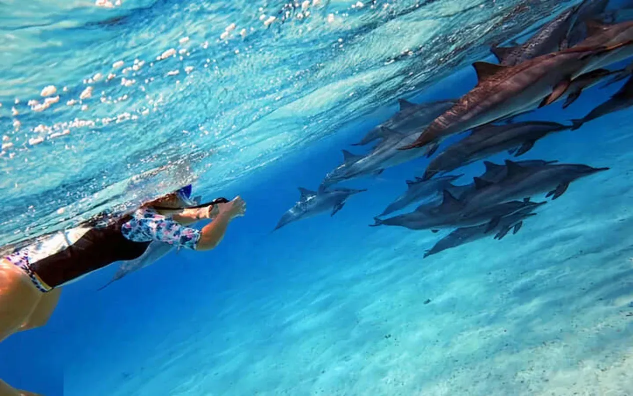 Pod of dolphins swimming beside a boat as three people sit on the bow watching them.