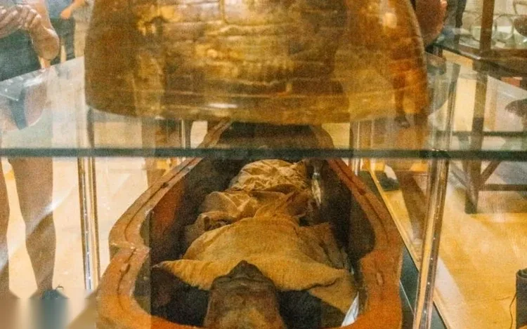 A wrapped mummy lying in an open coffin inside a museum glass display case, with a decorated coffin lid raised above it.