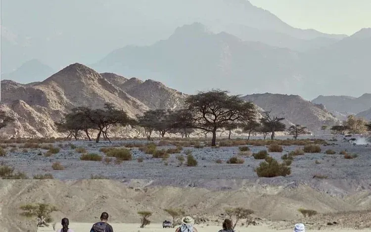 Two white 4x4 vehicles parked in front of ancient rock-cut ruins with stone columns.