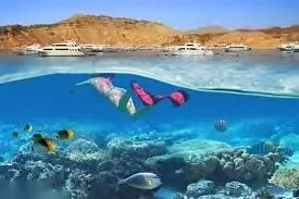 Aerial view of two motor yachts anchored in clear turquoise water beside patches of coral reef.