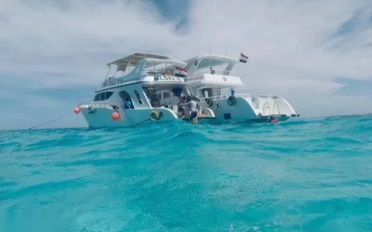 A twin-hulled boat flying an Egyptian flag anchored in bright turquoise water, with swimmers near the stern.