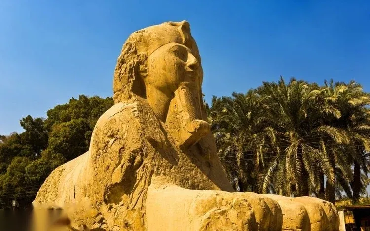 A large stone sphinx statue at Memphis, surrounded by palm trees under a clear blue sky.