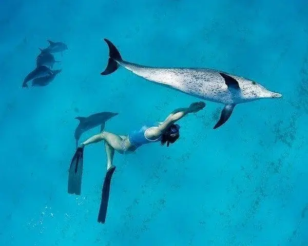 Aerial view of a small white speedboat with two passengers speeding across bright turquoise open water