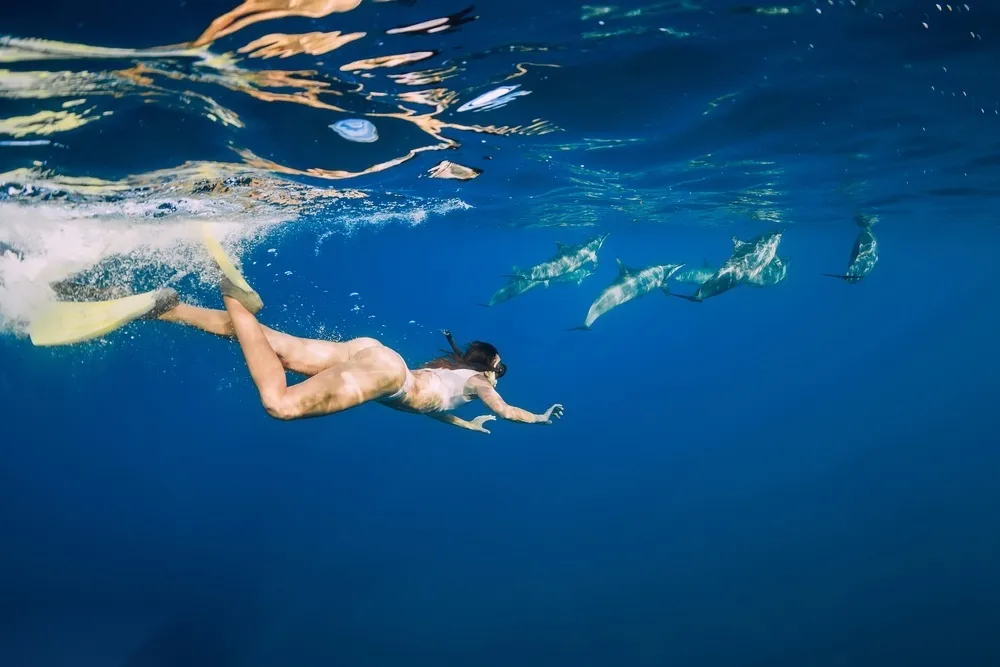 Woman sitting at the bow of a boat taking a selfie surrounded by dolphins swimming at the surface