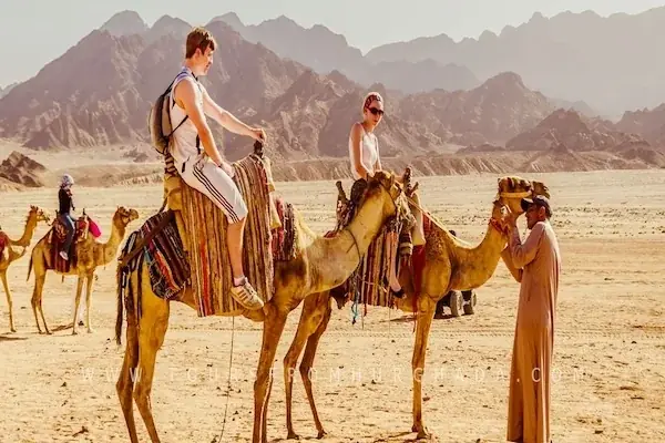 Tourists riding camels led by a Bedouin guide across the desert with jagged mountains behind them