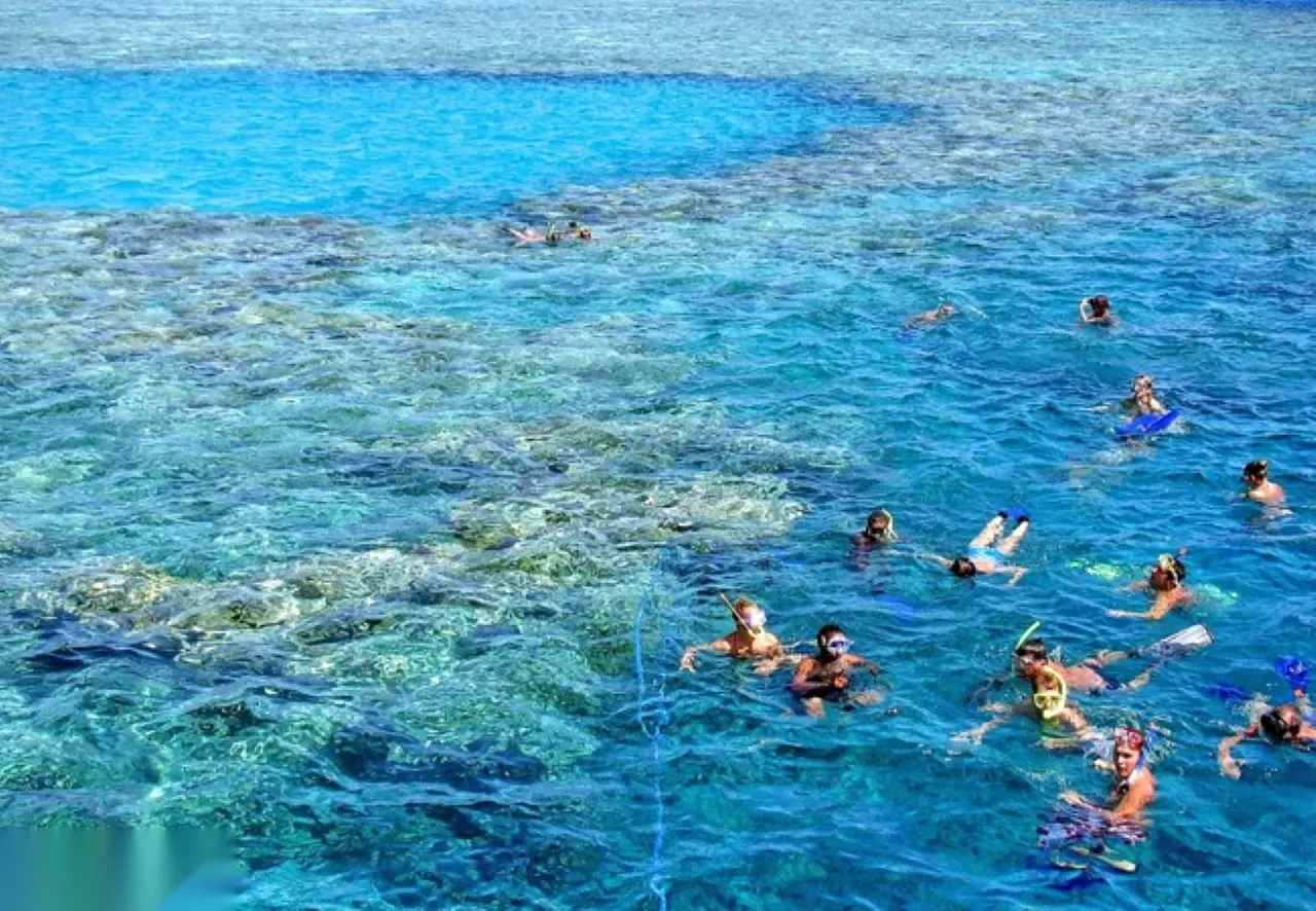 Aerial view of snorkelers spread across a bright turquoise reef flat with a deep blue channel behind them