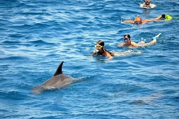 Two motor yachts, 'Elmansour' and another boat, anchored in turquoise water with a large group of snorkelers in the sea between them