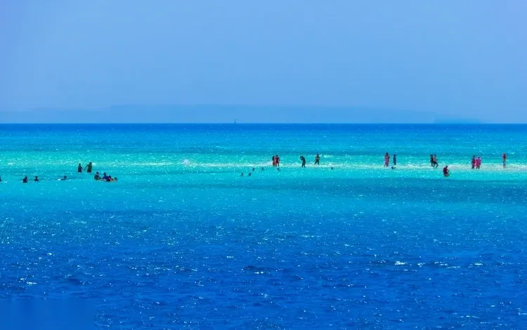 Two couples relaxing together in shallow turquoise water with a white cruise boat anchored in the background